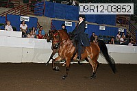 09r12-03852 thumbnail