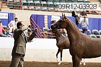 09r12-03928 thumbnail