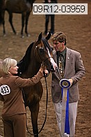 09r12-03959 thumbnail
