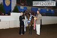 09r12-03977 thumbnail