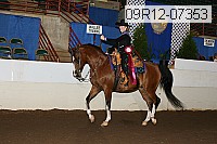 09r12-07353 thumbnail