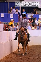 09r12-04323 thumbnail