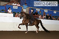 09r12-04592 thumbnail