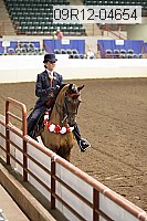 09r12-04654 thumbnail
