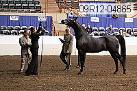 09r12-04865 thumbnail