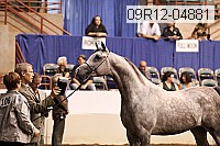 09r12-04881 thumbnail
