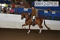 09r12-07535 thumbnail