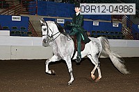 09r12-04986 thumbnail