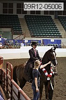 09r12-05006 thumbnail