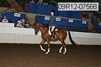 09r12-07568 thumbnail
