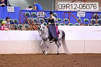 09r12-05076 thumbnail