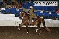 09r12-06592 thumbnail