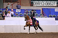09r12-06627 thumbnail