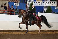 09r12-05325 thumbnail