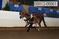 09r12-05561 thumbnail