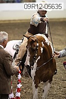 09r12-05635 thumbnail