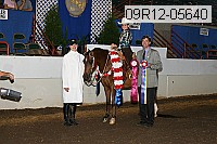 09r12-05640 thumbnail