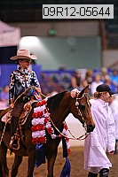 09r12-05644 thumbnail