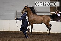 09r12-05784 thumbnail