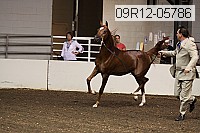 09r12-05786 thumbnail