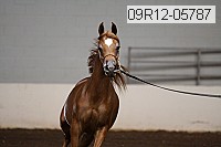 09r12-05787 thumbnail