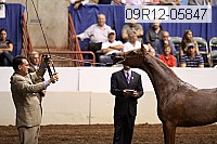 09r12-05847 thumbnail