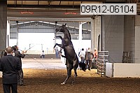 09r12-06104 thumbnail