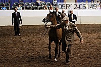 09r12-06149 thumbnail
