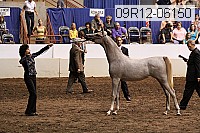 09r12-06150 thumbnail