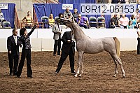 09r12-06153 thumbnail