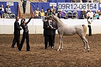 09r12-06154 thumbnail