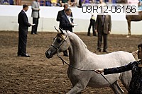 09r12-06156 thumbnail