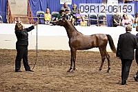 09r12-06159 thumbnail