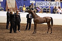 09r12-06161 thumbnail
