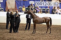 09r12-06162 thumbnail