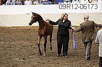 09r12-06173 thumbnail