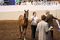 09r12-06174 thumbnail