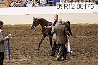 09r12-06175 thumbnail