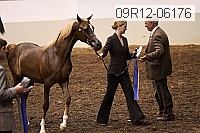09r12-06176 thumbnail