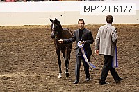 09r12-06177 thumbnail