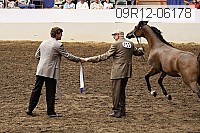 09r12-06178 thumbnail