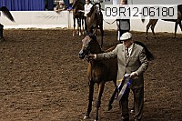 09r12-06180 thumbnail