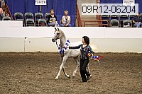 09r12-06204 thumbnail