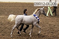 09r12-06209 thumbnail