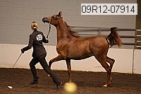 09r12-07914 thumbnail