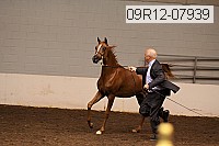 09r12-07939 thumbnail
