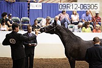 09r12-06305 thumbnail