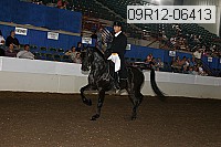 09r12-06413 thumbnail