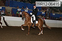 09r12-06415 thumbnail