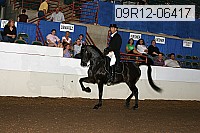 09r12-06417 thumbnail